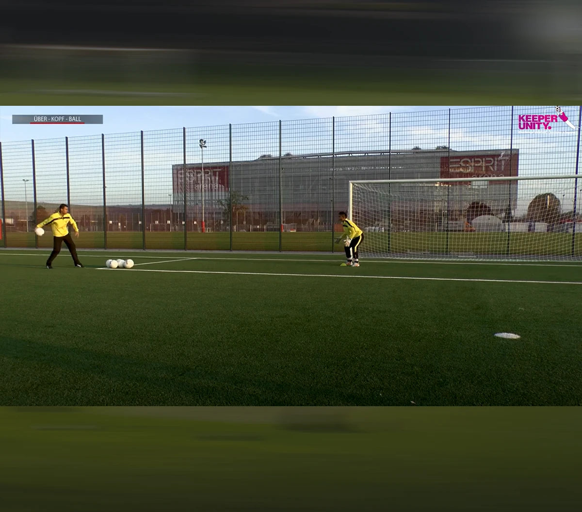 Torwarttraining - Zonentraining - Basic/Advanced/Pro