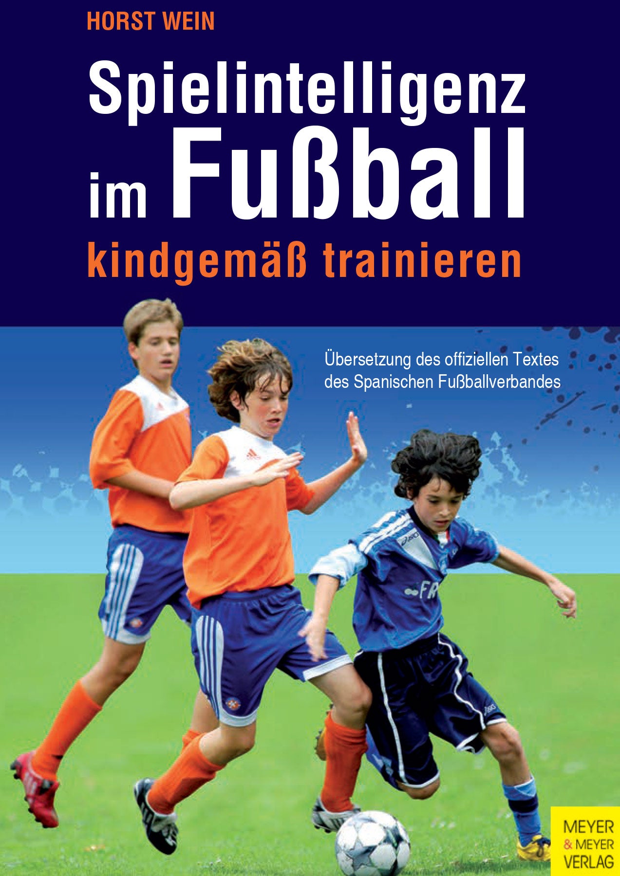 Spielintelligenz im Fußball - Kindgemäß trainieren