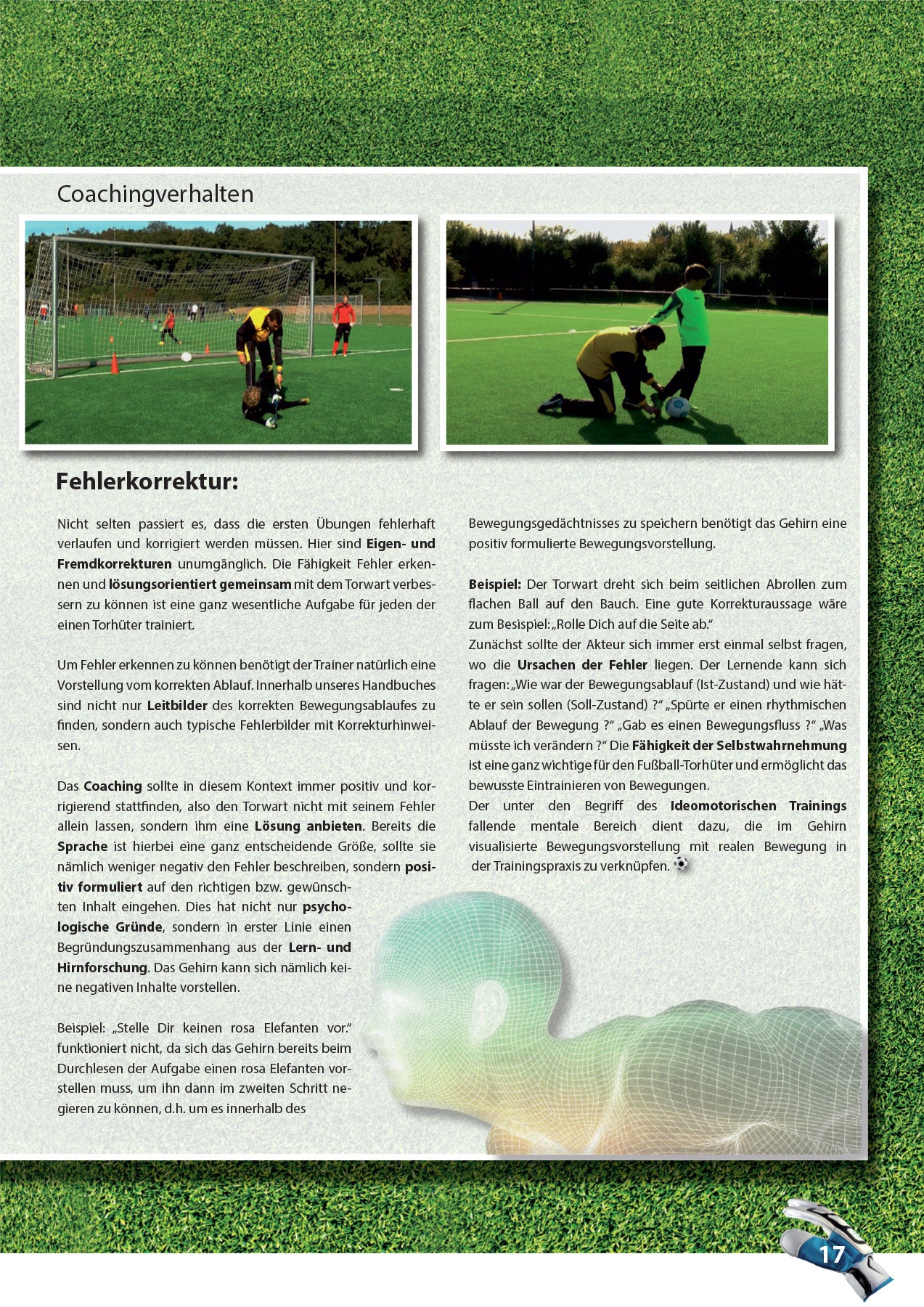 Das moderne Torwarttraining im Fußball - Teil 2 - 17 Zonen-Techniken (Zone 1)