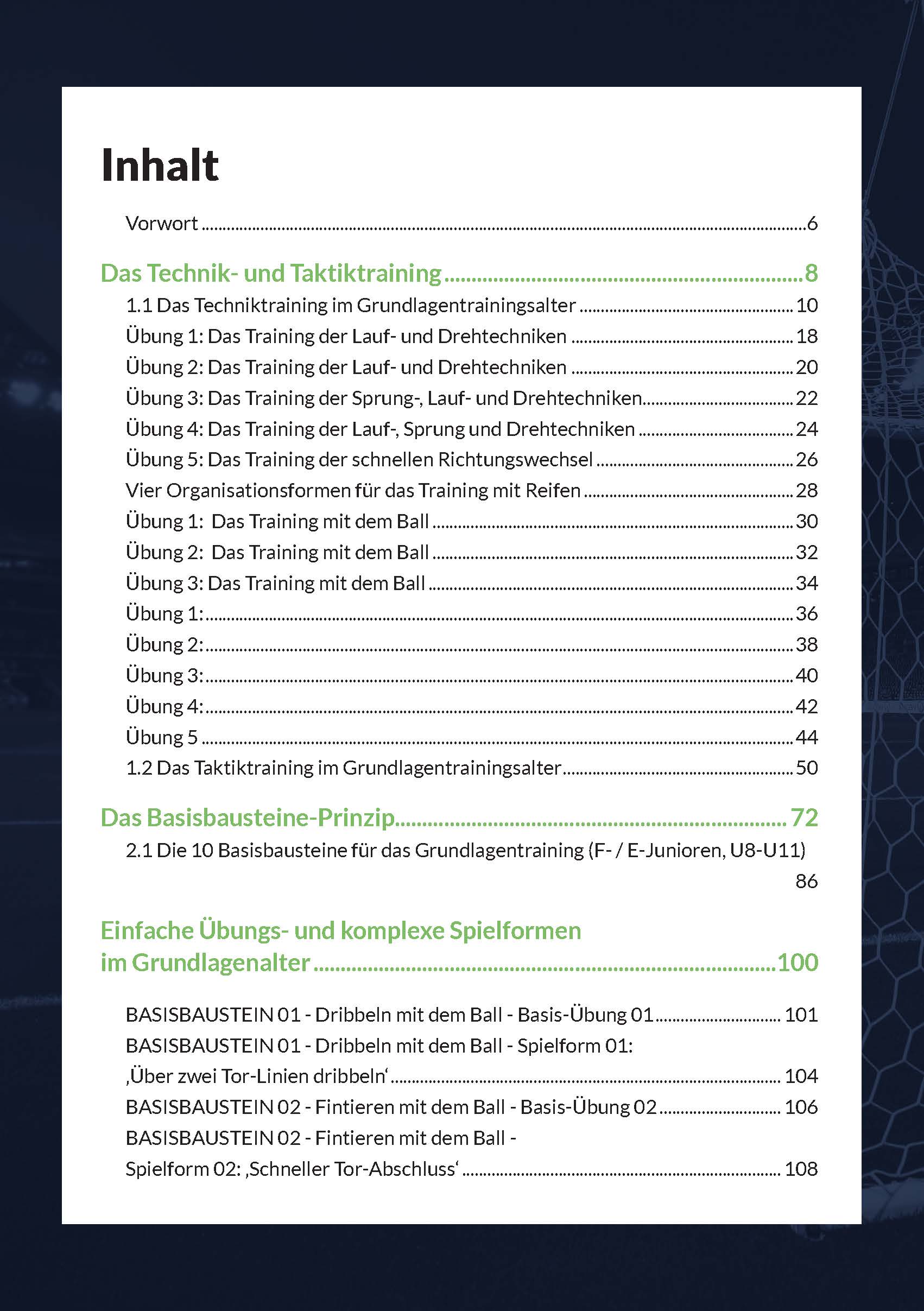 Ausbildungsplan Juniorenfußball - Teil 2 - Praxis Grundlagentraining (eBook)