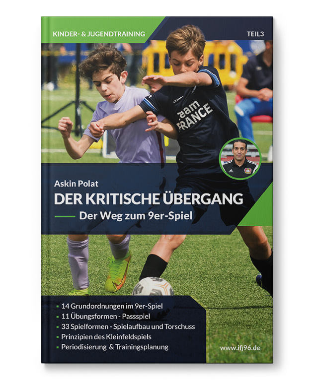 Der Kritische Übergang (Buch) Der Kritische Übergang (Buch)