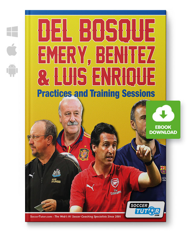 Del_Bosque_Emery_Benitez_Luis_Enrique_eBook_220098